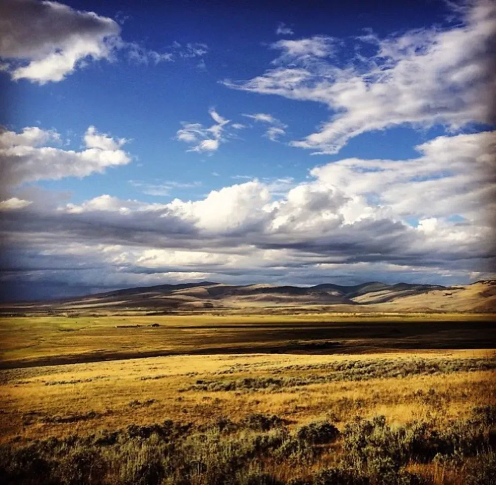 Golden grassland and sagebrush beneath a wide blue Montana sky full of clouds.